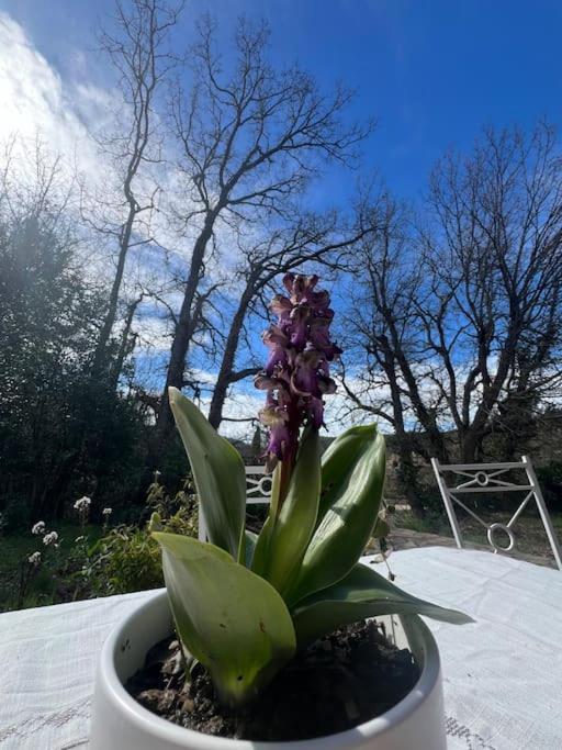 Villa Au Coeur De La Provence Evenos Екстер'єр фото